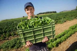 Unser Kunde LaSelva nutzt die Shopsoftware CosmoShop.